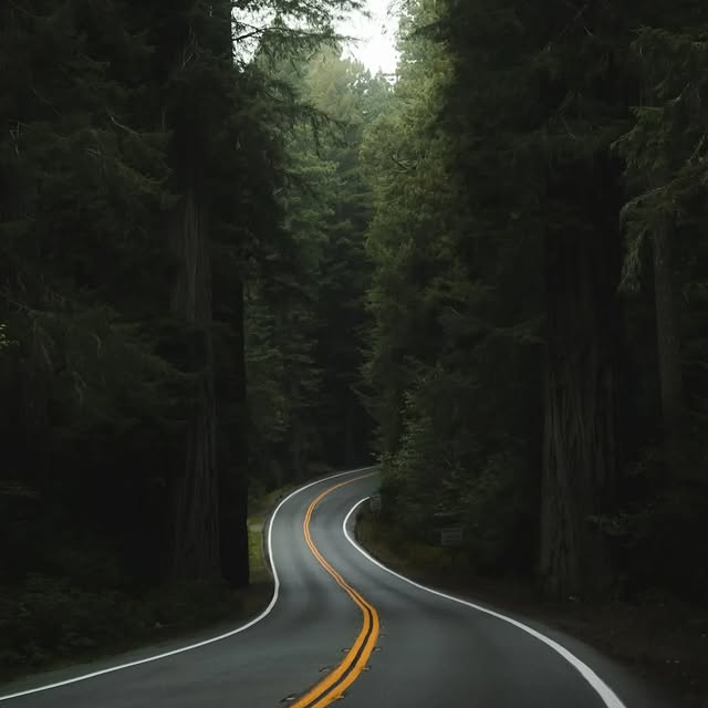  ........vacations   'recent posts' 