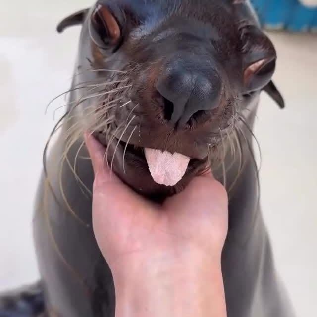  ......aveling   'recent posts' 