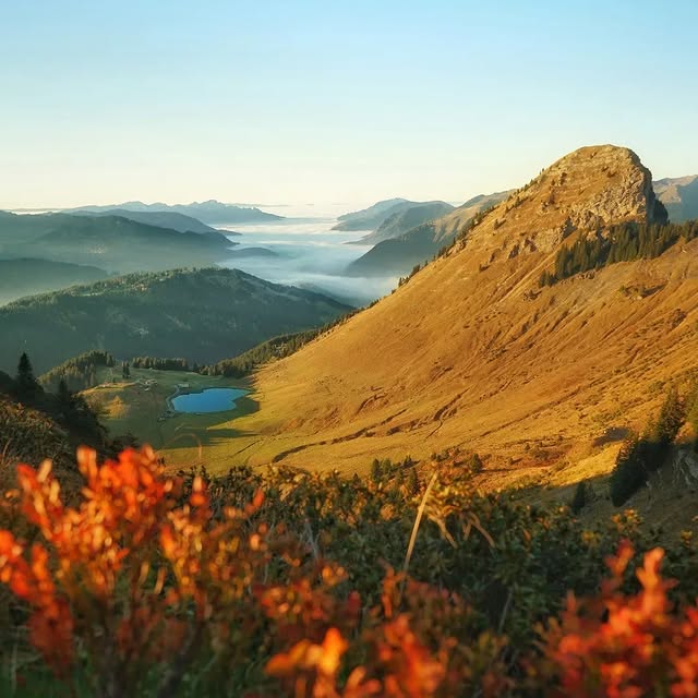  .........rancaises   'recent posts' 