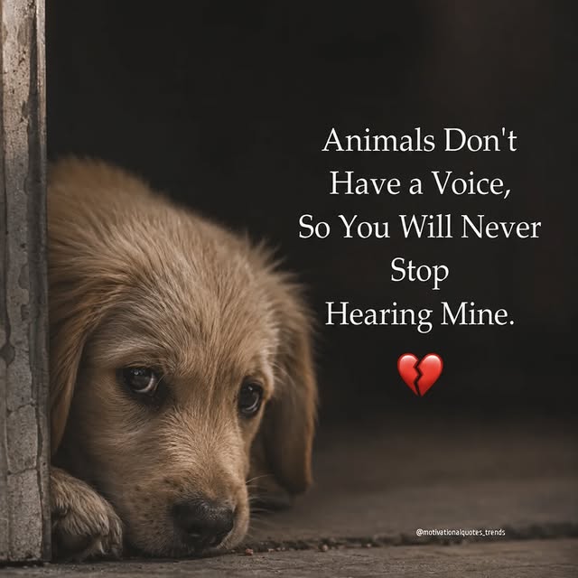  ............quotes_trends   'recent posts' 