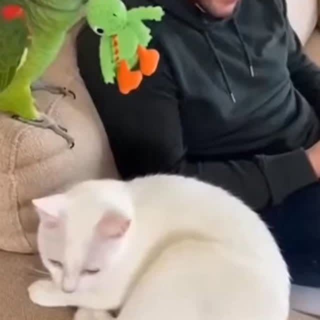  .....nly.ai   'recent posts' 