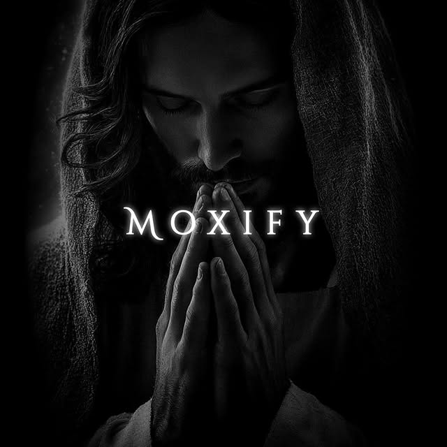  ....fy.ai   'recent posts' 