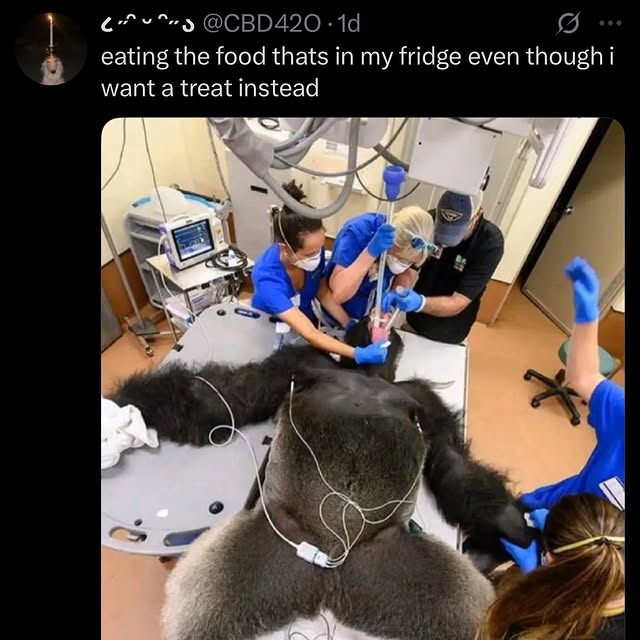  .......posting   'recent posts' 