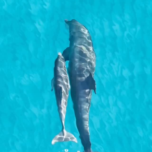  .....lorida   'recent posts' 