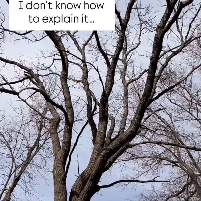  ........helan.co   'recent posts' 