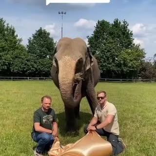  .......imals247   'recent posts' 