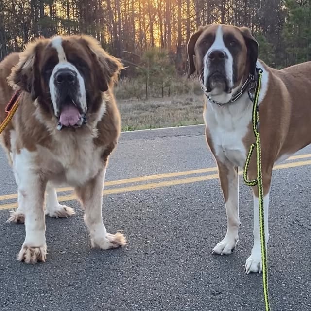  .........intbernard   'recent posts' 