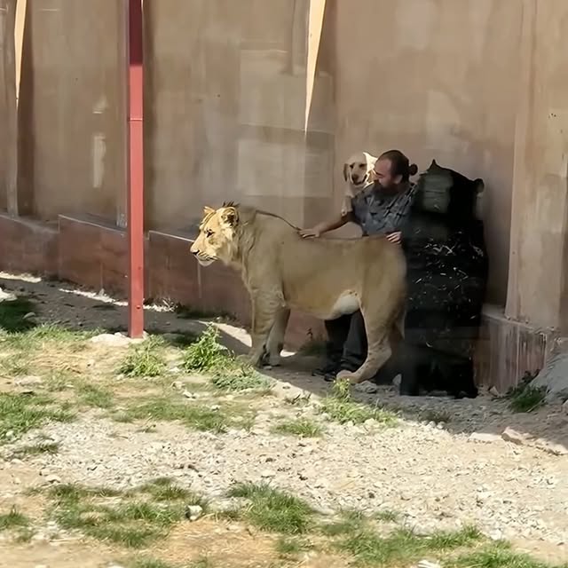  ........malsgram   'recent posts' 