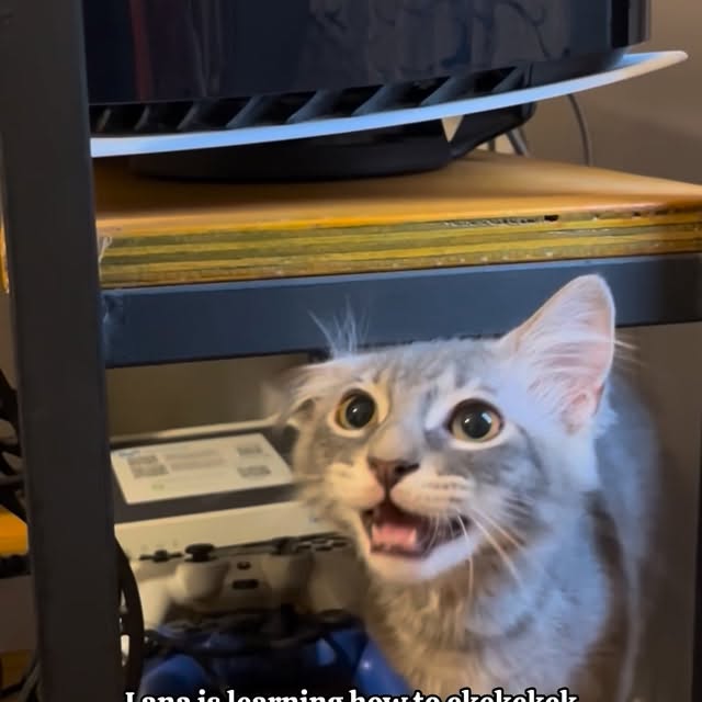  ......kekkek   'recent posts' 