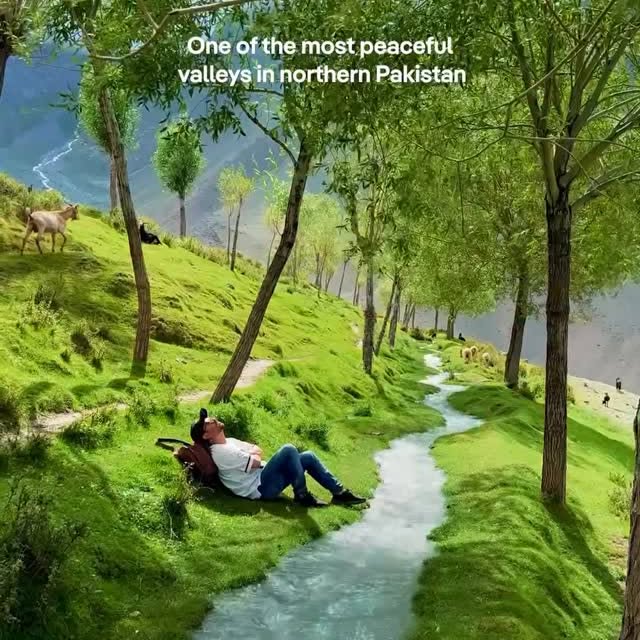  .....lsclub   'recent posts' 