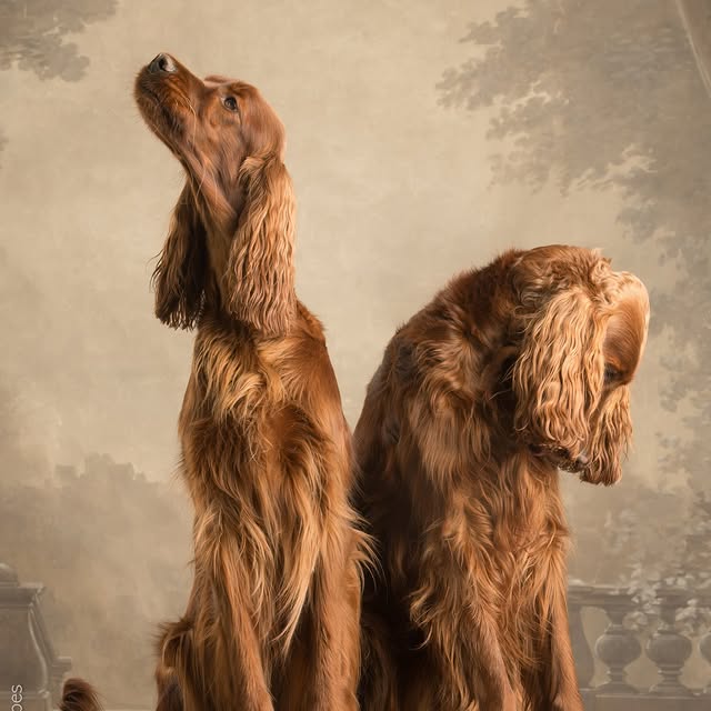  ..........hotography   'recent posts' 