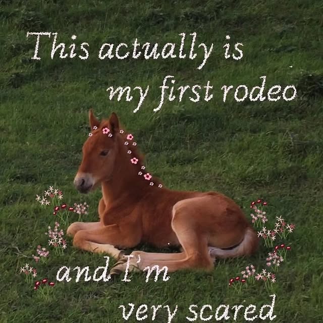  .....senses   'recent posts' 