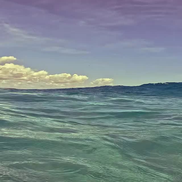  .....nique   'recent posts' 