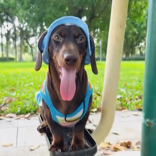  ..........fan.club_   'recent posts' 