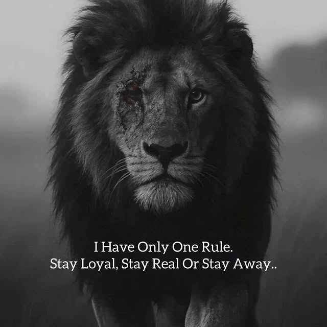  ......etword   'recent posts' 