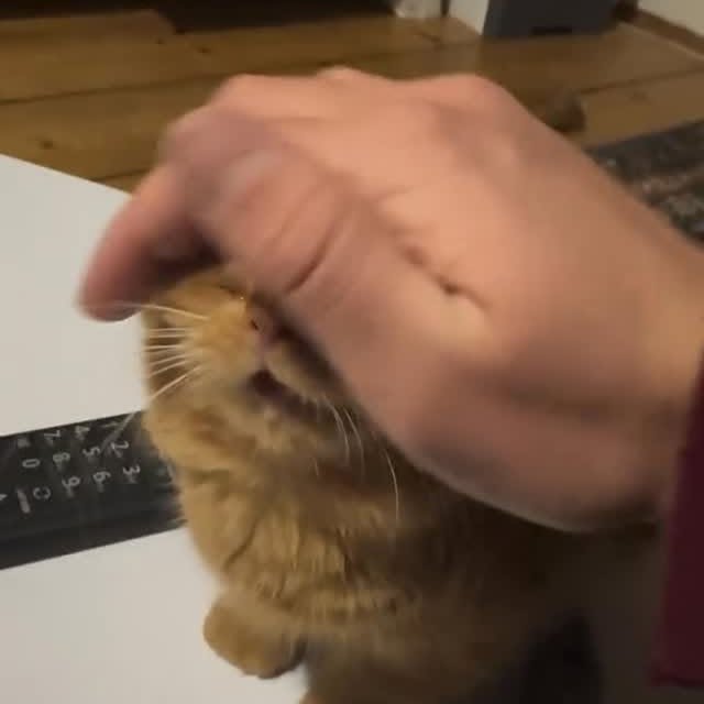  .....attos   'recent posts' 