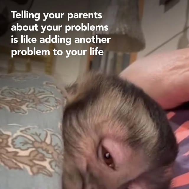  .......dstories   'recent posts' 