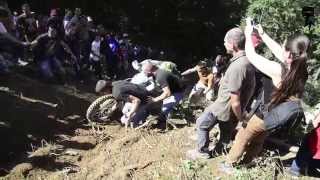  ...TOR  'recent videos' 