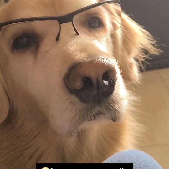  ..ps   'recent posts' 