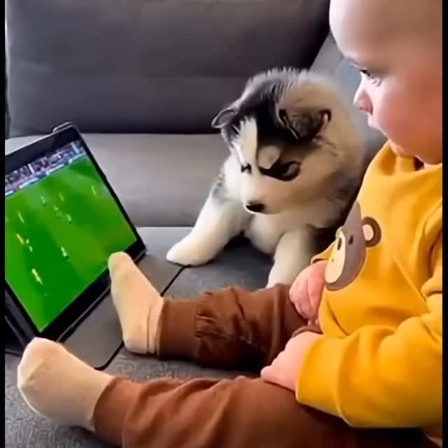  .......plorers   'recent posts' 