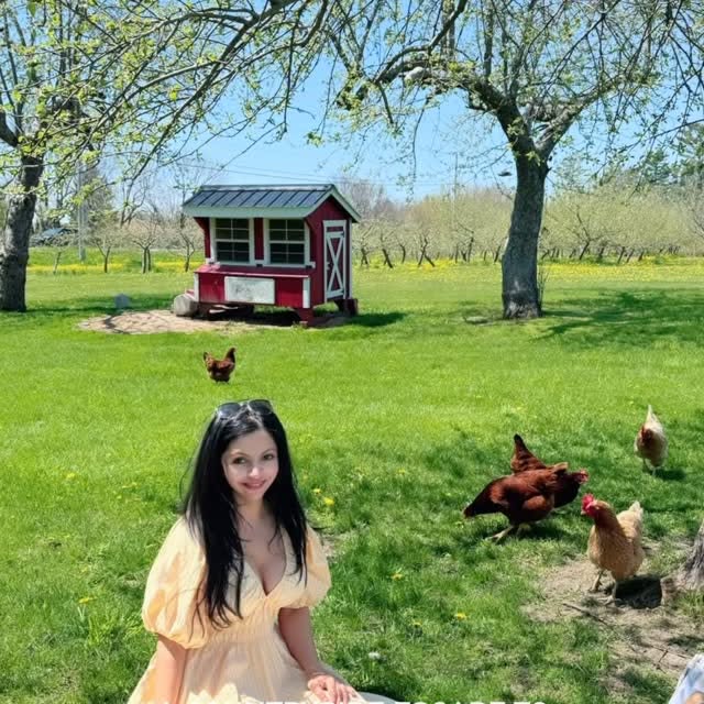  .........wanderland   'recent posts' 