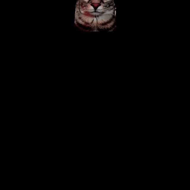  ....eowsy   'recent posts' 