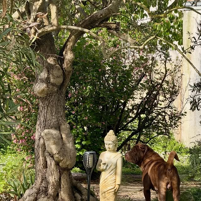  ......i.world   'recent posts' 