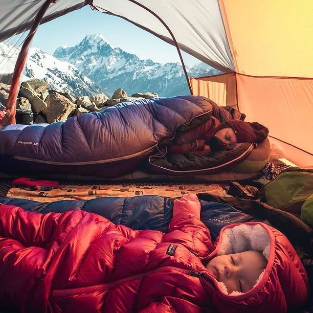  ......fervor   'recent posts' 