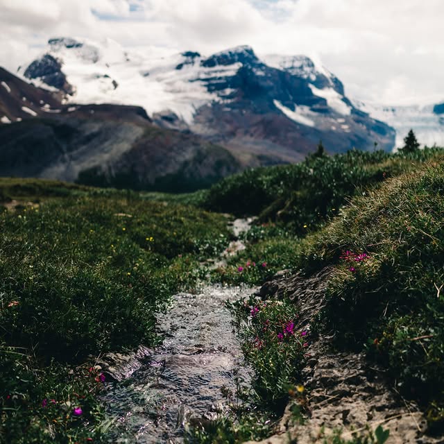  .......dventure   'recent posts' 