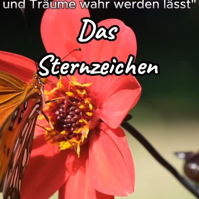  .......giezone   'recent posts' 