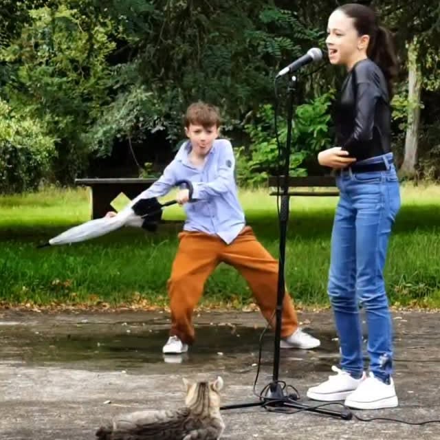  .........z.official   'recent posts' 