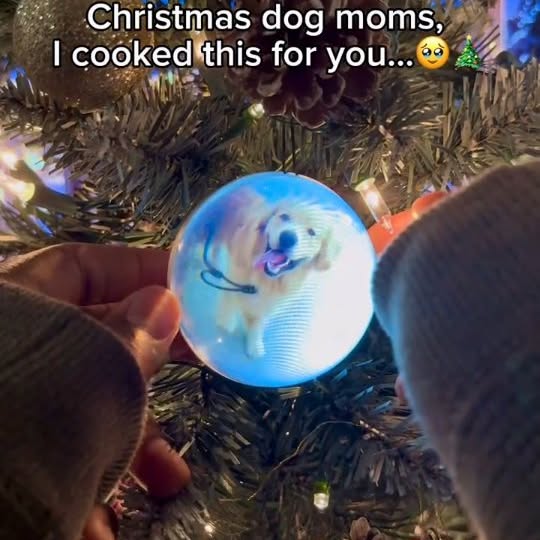  ....iming   'recent posts' 