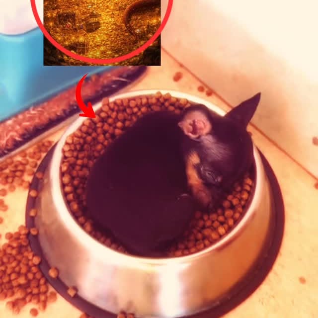  ............orning_kisser   'recent posts' 