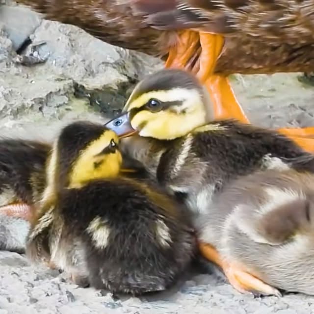  ........ckstatue   'recent posts' 