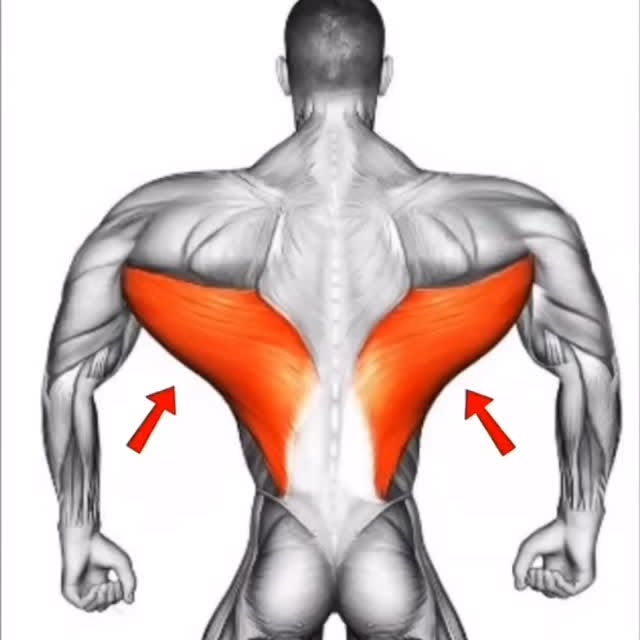  .....dgains   'recent posts' 