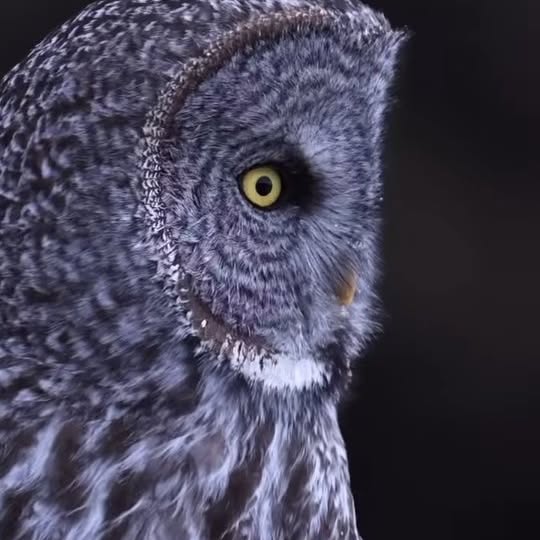  ........vacations   'recent posts' 