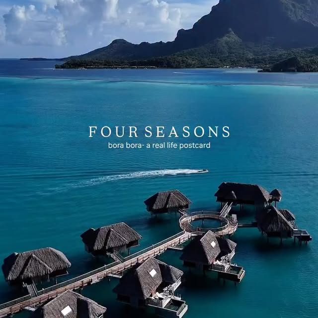  ......edustin   'recent posts' 