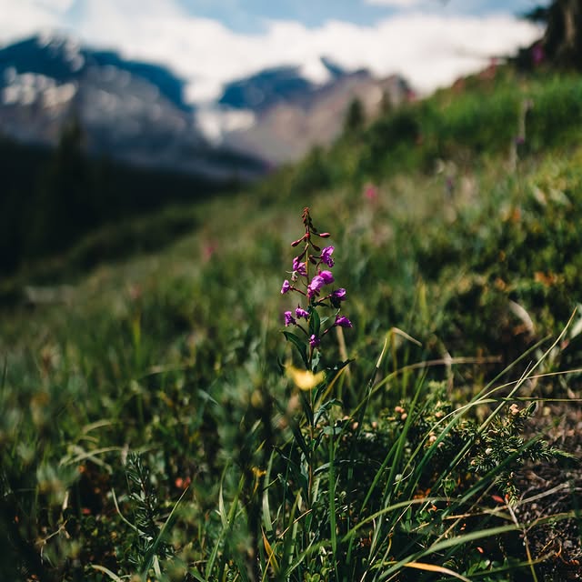  .......dventure   'recent posts' 