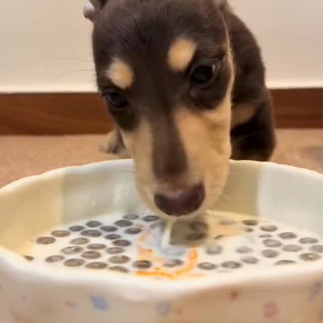  ..........fan.club_   'recent posts' 