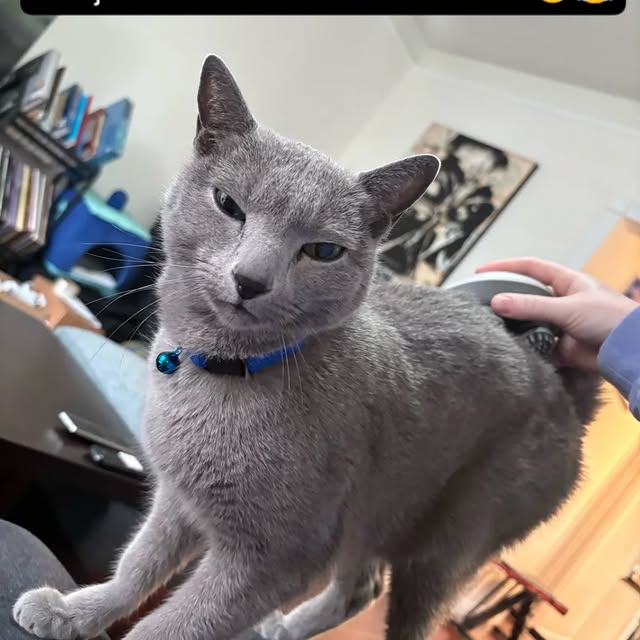  ......n_boris   'recent posts' 