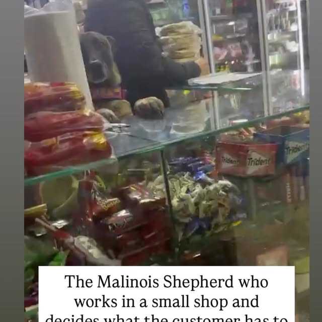  ....s.acc   'recent posts' 