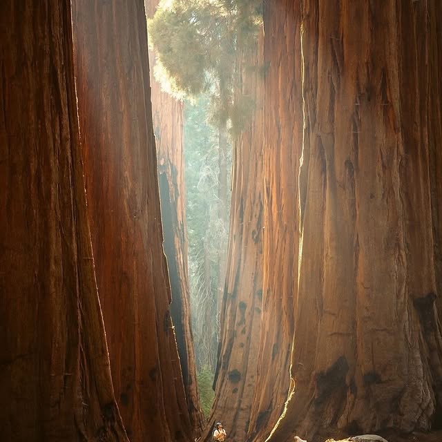  ......erfever   'recent posts' 