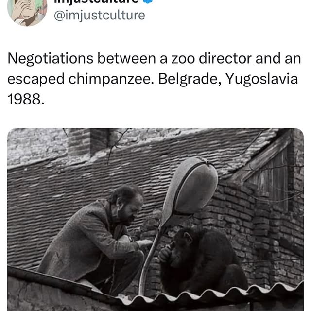  .......posting   'recent posts' 