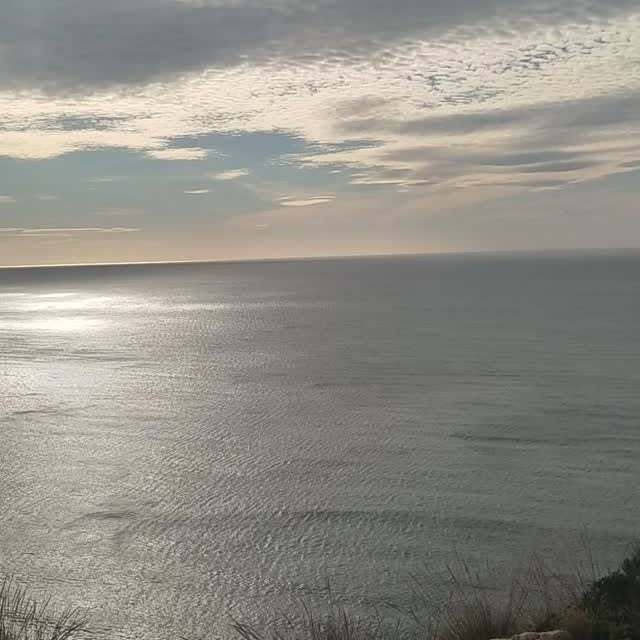  ........viajeros   'recent posts' 