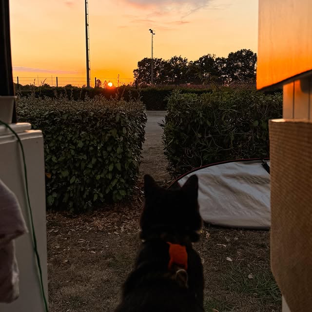  ....iseme   'recent posts' 