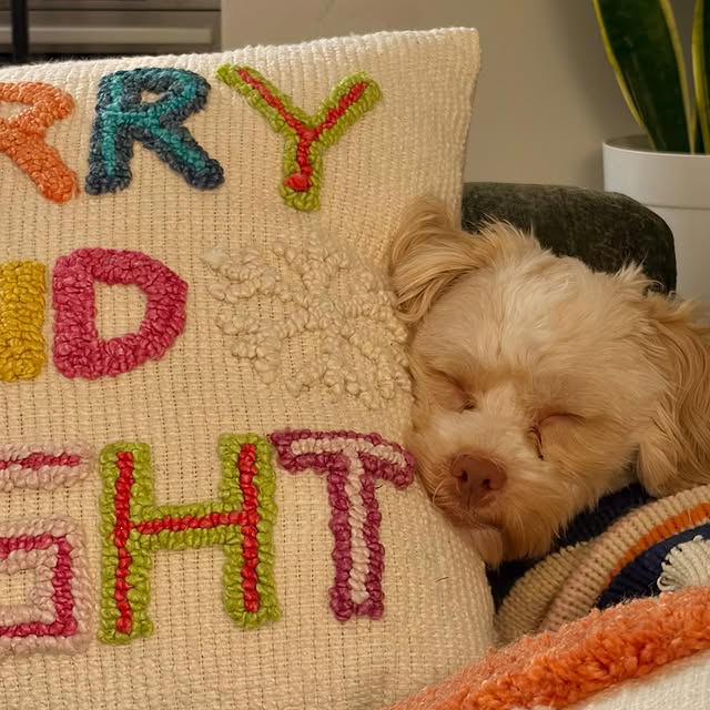  ........adkinson   'recent posts' 