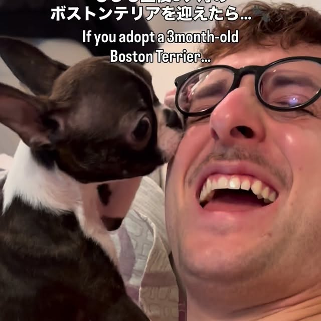  ........pizzalife   'recent posts' 