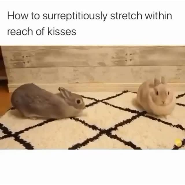  .......inheart   'recent posts' 