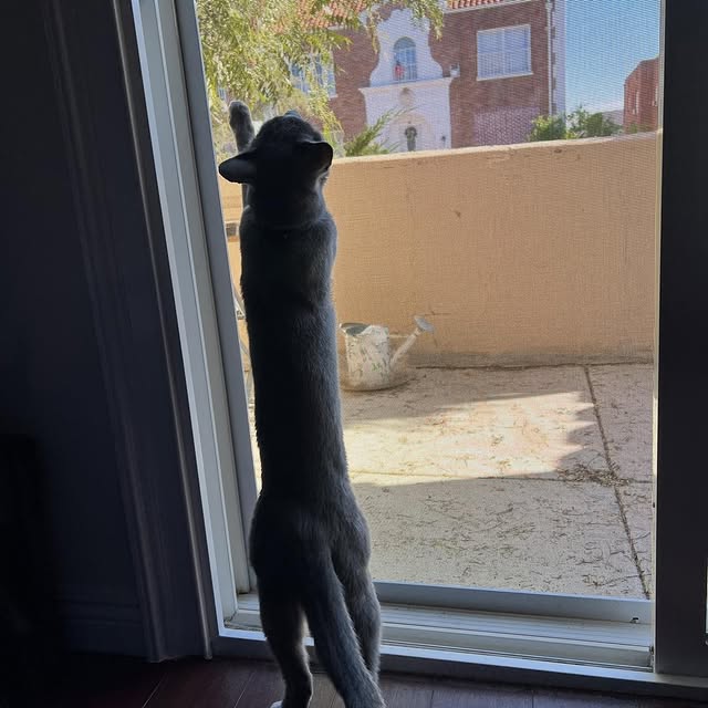  ......n_boris   'recent posts' 