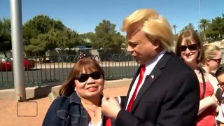  ........Domenico  'recent videos' 